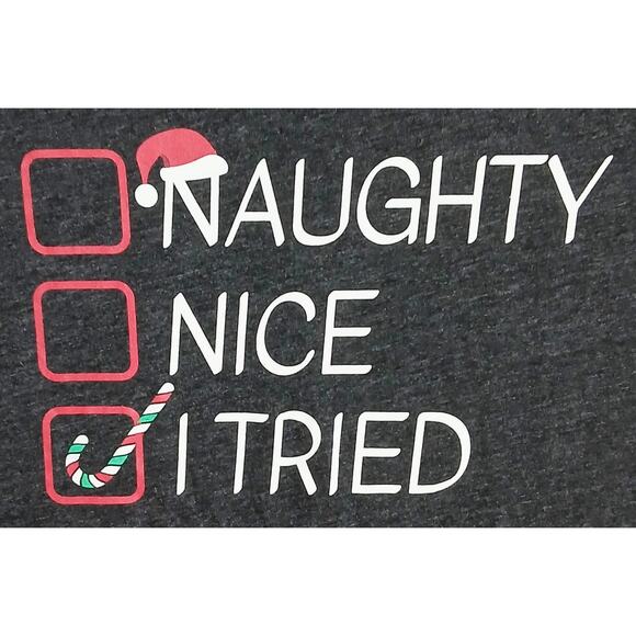 Holiday Time Other - Holiday Time Graphic Naughty Nice I Tried T-Shirt Men's XXL Gray